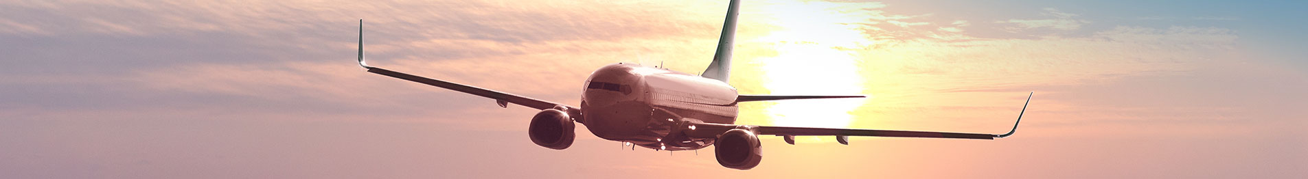 Book Aer Lingus Flights at Lower Prices